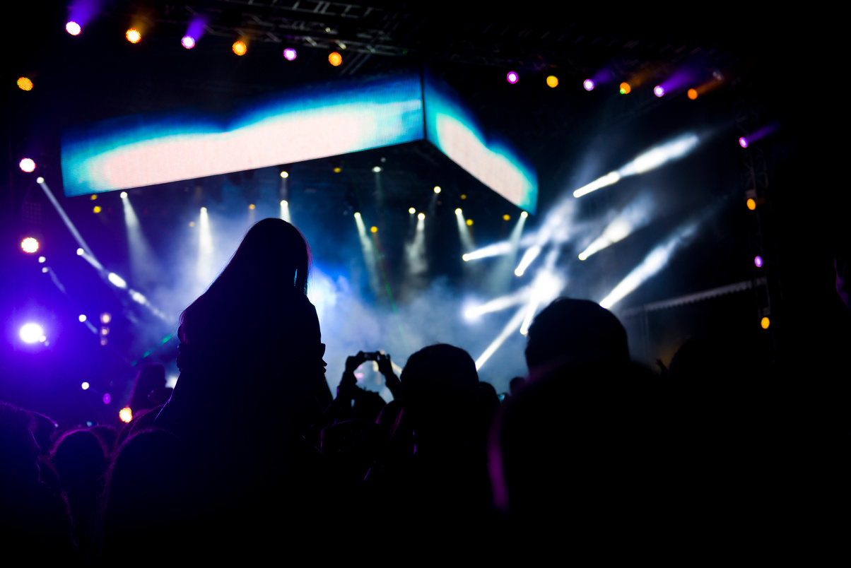 Concert Auidence